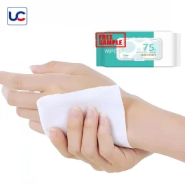 Customized Antibacterial Products Alcohol Wet Wipes 100pcs Alcohol Hand Wipes Custom Wipes