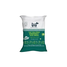 New Arrival 10pcs Soft Deodorizing Hygienic Wet Wipes Pet Shanghai Cleaning Oem Odm Private Label Service Non