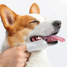 Biodegradable Dental Cleaning Teeth Finger Non Woven Cloth Pet Wet Wipes Oral Pet Cleaning Wipes Finger