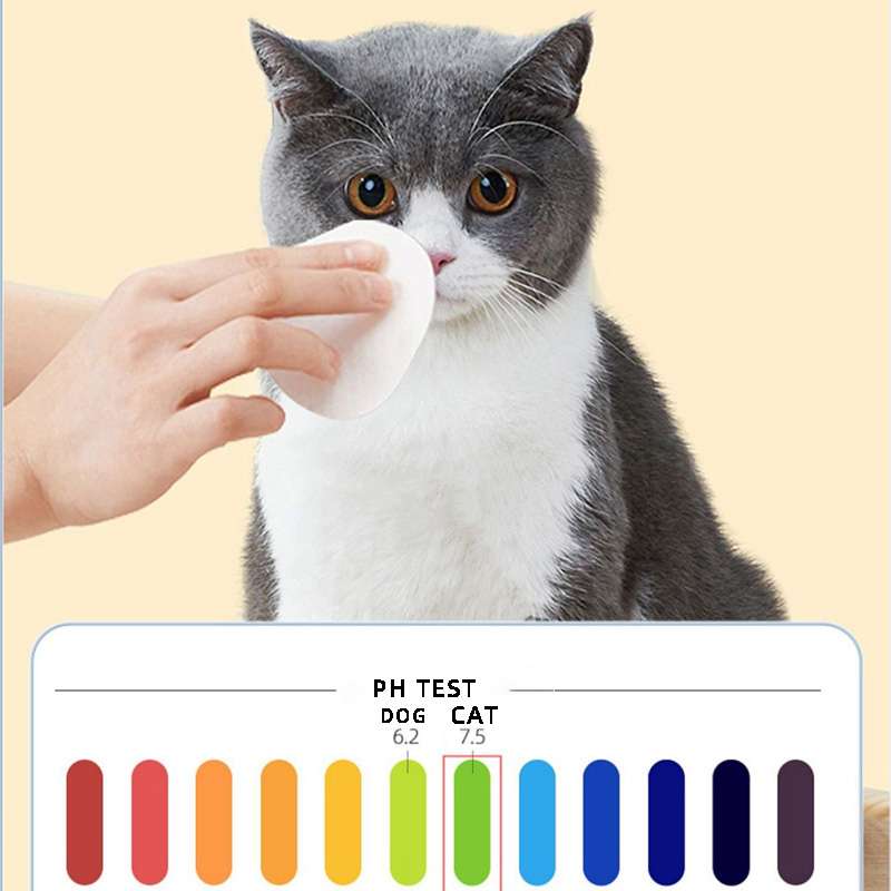 Pet wipes manufacturing PH
