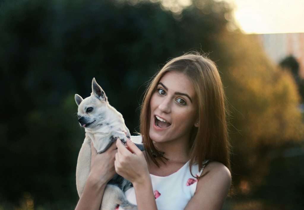 pet wipes
